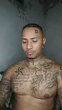 David tatto1 online show from 17, 3, 2026