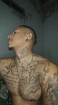 David tatto1 online show from 4, 3, 2026