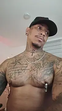 David tatto1 online show from 13, 1, 2026