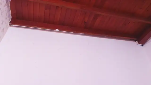 celeste moonx online show from 10, 10, 2025