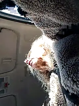 clarabell4 online show from 27, 4, 2026