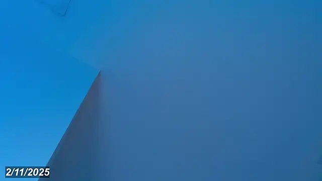 Sebax Young online show from 4, 11, 2025