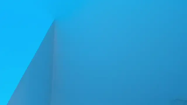 Sebax Young online show from 9, 1, 2026