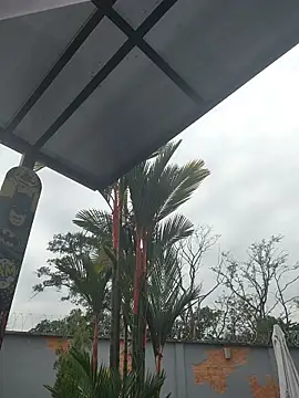 Yessica Lopezz online show from 5, 3, 2026