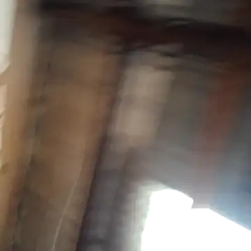 Ortiz3404 online show from 9, 3, 2026