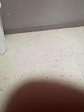 Crossedsissy online show from 22, 3, 2026