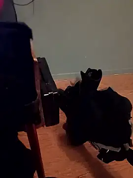 Crossedsissy online show from 7, 1, 2026