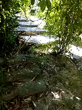 zack23088 online show from 4, 10, 2025