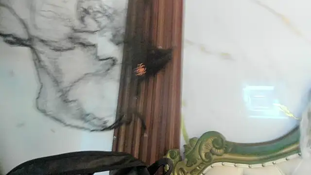 Snapshot of CoralieBronson chatting on 28, 10, 2025 CoralieBronson online show from 28, 10, 2025