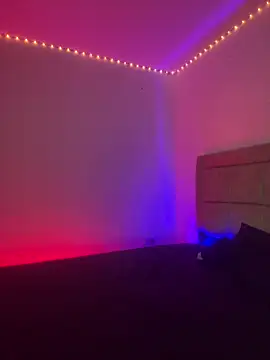 EmilyNoir1 online show from 8, 2, 2026