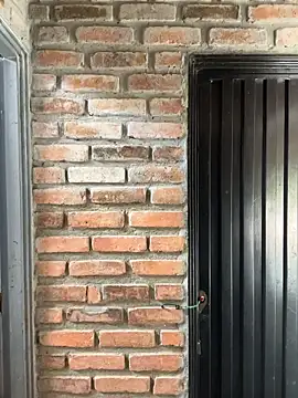 Jacksonfranco online show from 4, 11, 2025