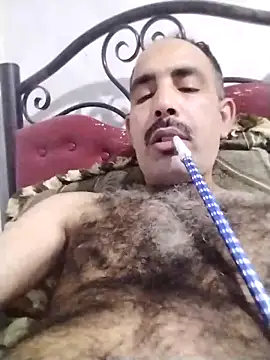 salimbasha online show from 3, 11, 2025