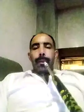 salimbasha online show from 14, 11, 2025