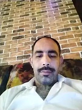 salimbasha online show from 14, 11, 2025