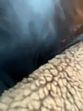 MiraReach online show from 9, 11, 2025