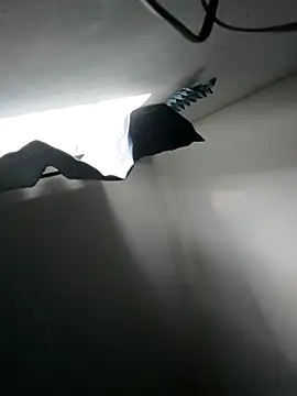 bgfgn online show from 5, 11, 2025