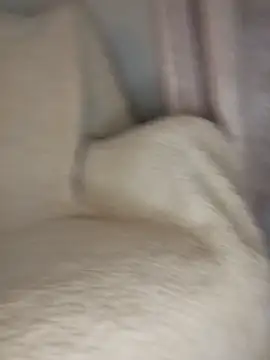 peepformance online show from 30, 10, 2025