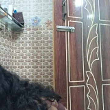 Bristy- online show from 6, 11, 2025