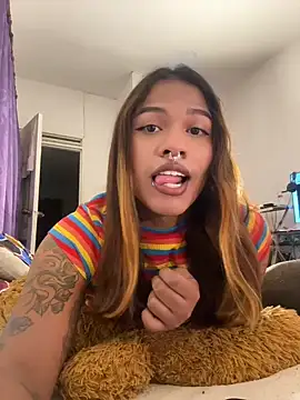 cam11 07 online show from 7, 6, 2026