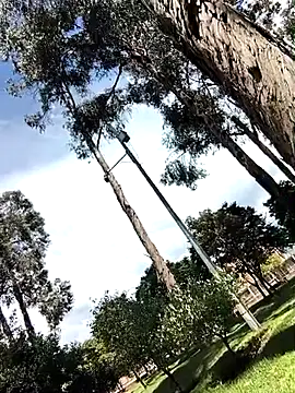 Yaya watson online show from 1, 4, 2026