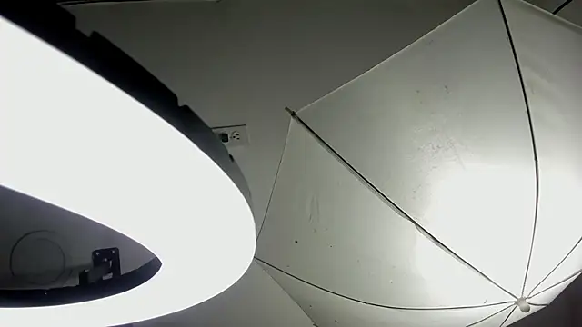 Starbutterflyy  online show from 3, 4, 2026