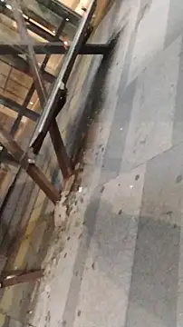 LeoMaduroSP online show from 9, 1, 2026