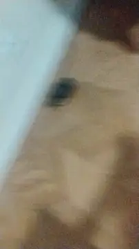 LeoMaduroSP online show from 17, 1, 2026