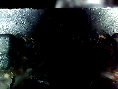 20cmloiro online show from 10, 4, 2026