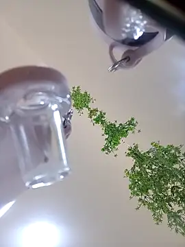 Snapshot of Samantha_hotly chatting on 31, 10, 2025 Samantha hotly online show from 31, 10, 2025