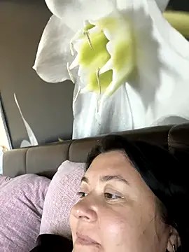 Liza Will online show from 3, 11, 2025