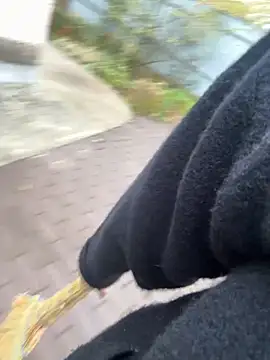 Liza Will online show from 26, 11, 2025