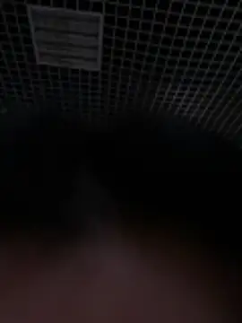 Snapshot of Liza_Will chatting on 20, 2, 2026 Liza Will online show from 20, 2, 2026