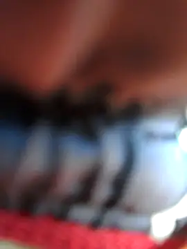 chef82 online show from 11, 1, 2026