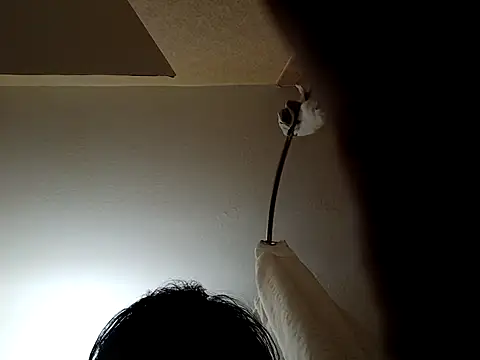 Shemalefucker79 online show from 8, 4, 2026