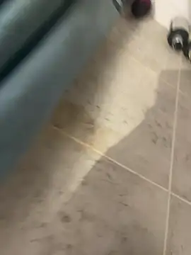 BobKat online show from 15, 1, 2026