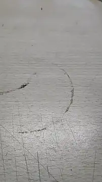 Playboy 089 online show from 23, 9, 2025