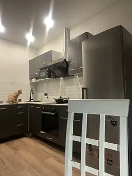 tammy gun online show from 19, 11, 2025