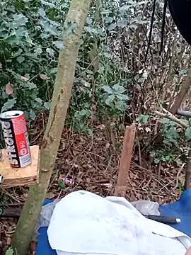 Wilsonn86 online show from 2, 12, 2025