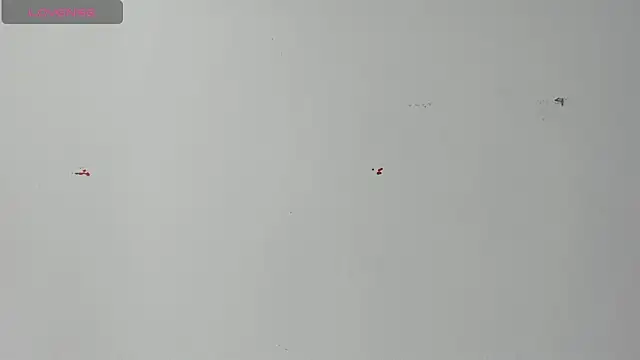 Lady miss    online show from 18, 4, 2026