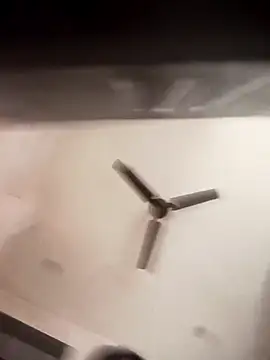 Trisha 71 online show from 5, 11, 2025