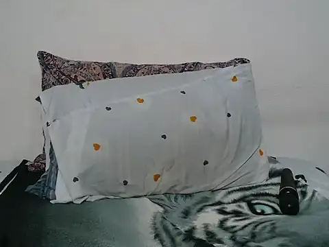 Ta loar online show from 24, 3, 2026