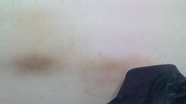 sasatimido online show from 3, 12, 2025