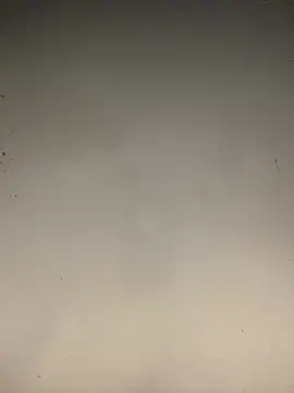 sasatimido online show from 14, 1, 2026