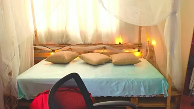 loreaniss online show from 11, 11, 2025