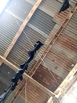 Snapshot of Davir2001 chatting on 14, 3, 2026 Davir2001 online show from 14, 3, 2026