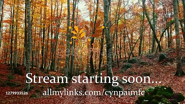 Cynpai online show from 17, 11, 2025