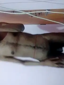 Slim boy 22 online show from 16, 3, 2026