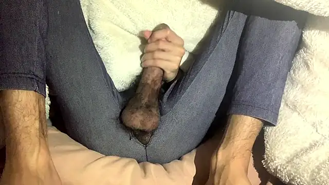 BouncySubsidy online show from 25, 11, 2025