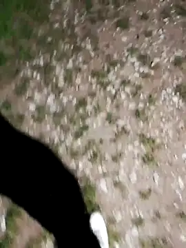 ARTANIS20 online show from 21, 10, 2025