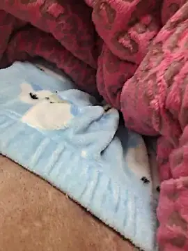 zzangzoa online show from 17, 1, 2026